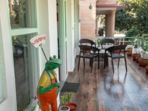 Ferozi House x Free Birds